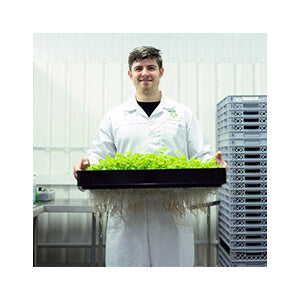 A man holds a tray of peppermint plants at Fate Skincare