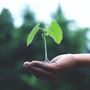Fate Skincare: The Natural and Sustainable Choice for Beautiful Skin